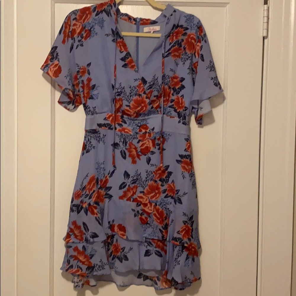 Parker Dress - size 2